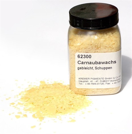 Carnauba Wax Blog Image 2