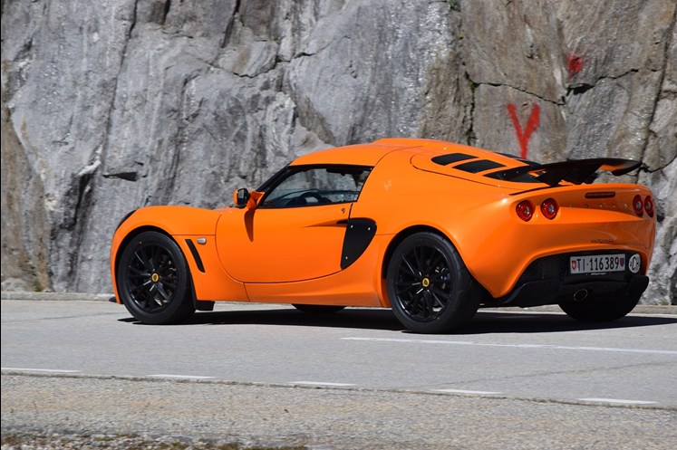 Lotus in burnt orange