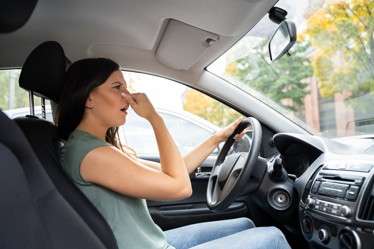 Woman Covering Her Nose From Bad Smell Inside The Car