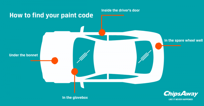 Diagram of how to find cars colour paint code